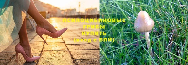 трава Аркадак