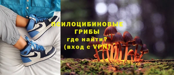 прущие крисы Армянск