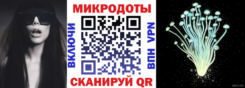 Псилоцибиновые грибы мицелий  Новый Уренгой 